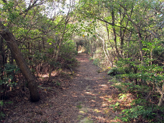 t01_215.jpg