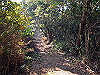 t01_216_thumb.jpg