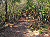 t01_217_thumb.jpg