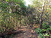 t01_218_thumb.jpg