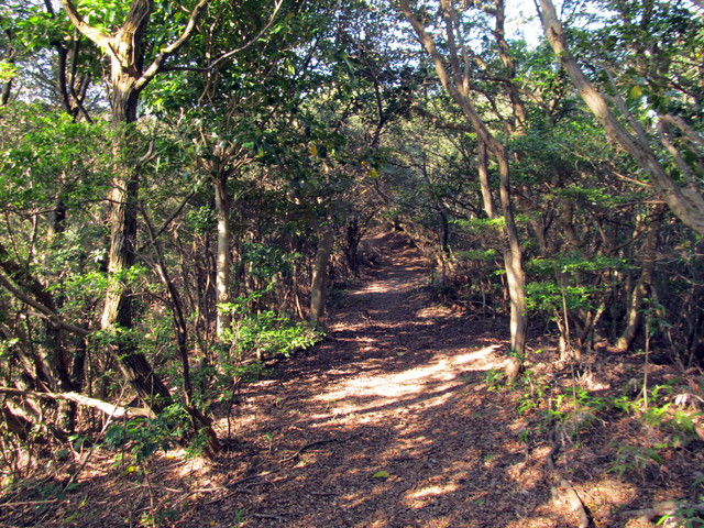 t01_219.jpg