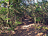 t01_219_thumb.jpg