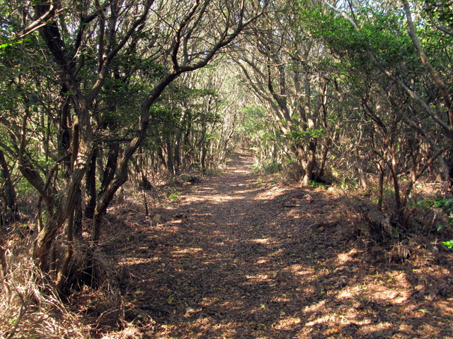 t01_220.jpg