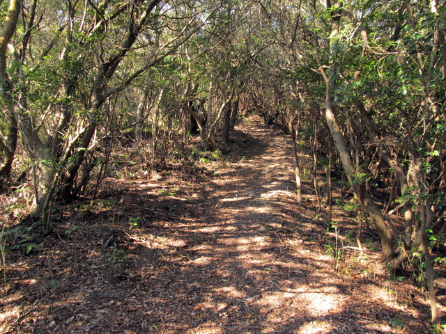 t01_221.jpg