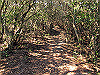t01_221_thumb.jpg