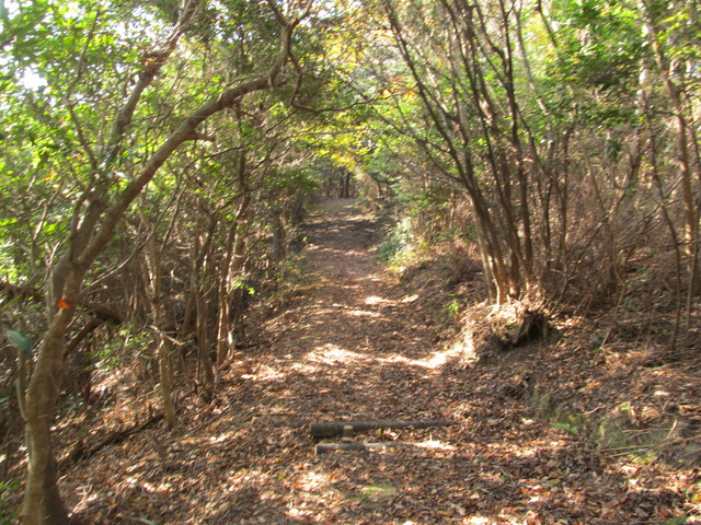 t01_222.jpg
