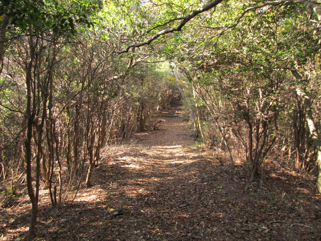 t01_223.jpg