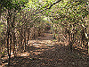 t01_223_thumb.jpg