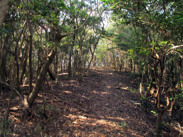 t01_225.jpg