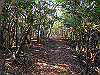 t01_225_thumb.jpg