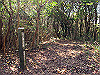 t01_226_thumb.jpg