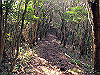 t01_227_thumb.jpg