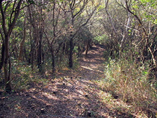 t01_228.jpg