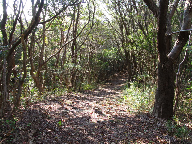 t01_229.jpg
