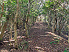 t01_230_thumb.jpg