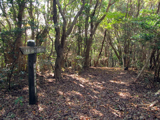 t01_231.jpg