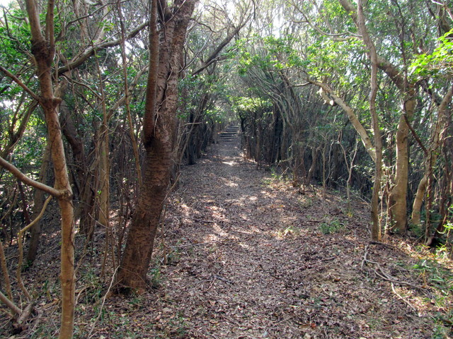 t01_233.jpg