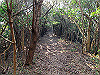 t01_233_thumb.jpg