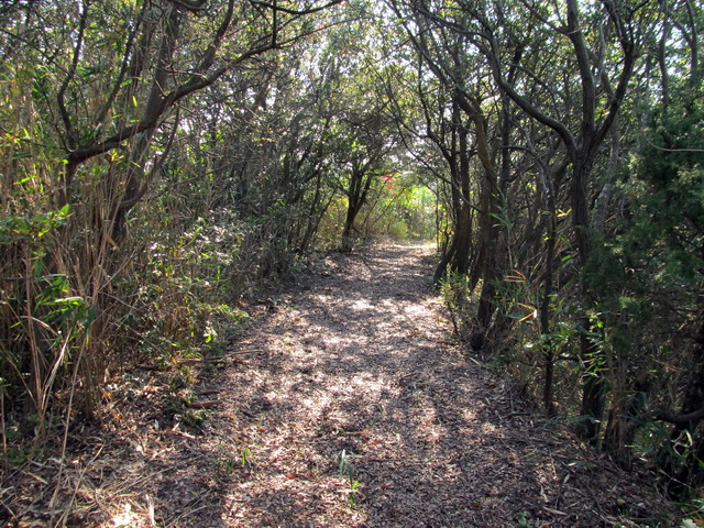 t01_234.jpg