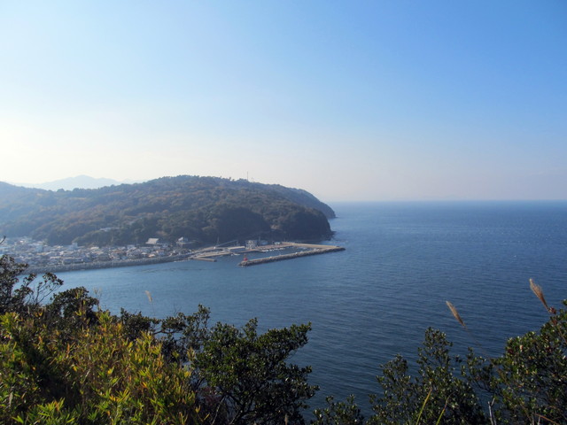 t01_236.jpg