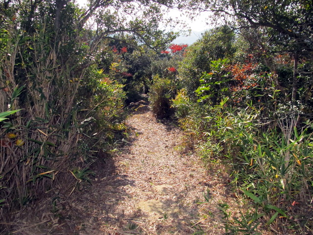 t01_237.jpg