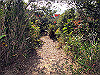 t01_237_thumb.jpg