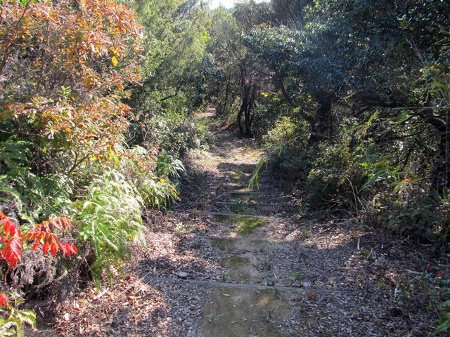 t01_238.jpg