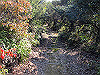 t01_238_thumb.jpg