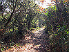 t01_239_thumb.jpg