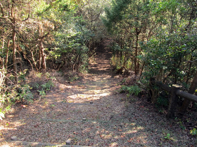 t01_241.jpg