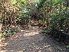t01_241_thumb.jpg