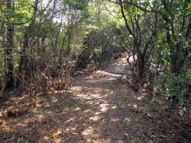 t01_242.jpg