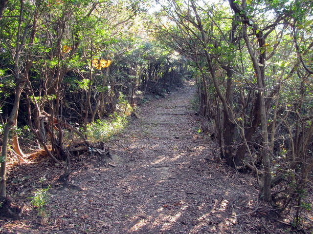 t01_243.jpg