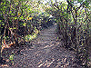 t01_243_thumb.jpg
