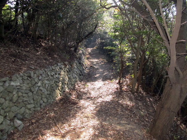 t01_245.jpg