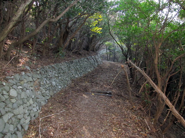 t01_246.jpg