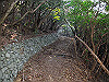 t01_246_thumb.jpg