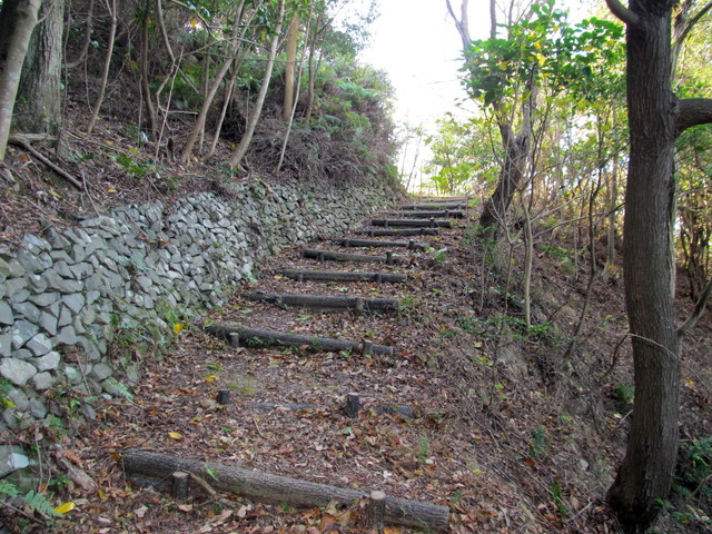 t01_247.jpg