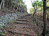 t01_247_thumb.jpg