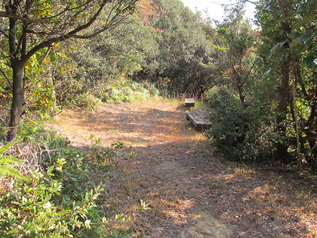 t01_249.jpg