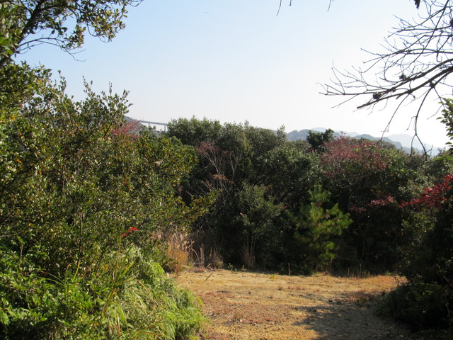 t01_250.jpg