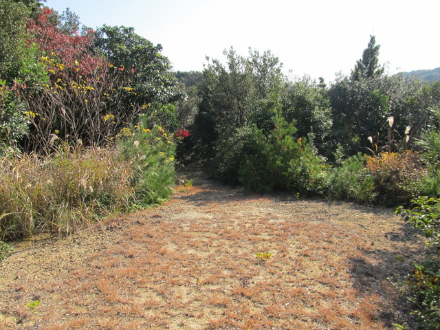 t01_251.jpg