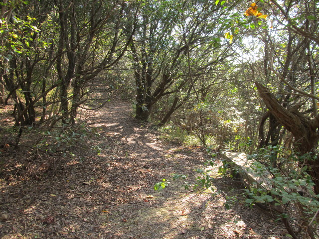 t01_253.jpg