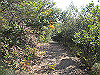t01_254_thumb.jpg
