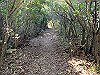 t01_255_thumb.jpg
