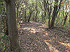 t01_256_thumb.jpg