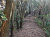 t01_257_thumb.jpg