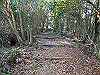 t01_258_thumb.jpg