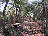 t01_263_thumb.jpg