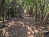 t01_264_thumb.jpg